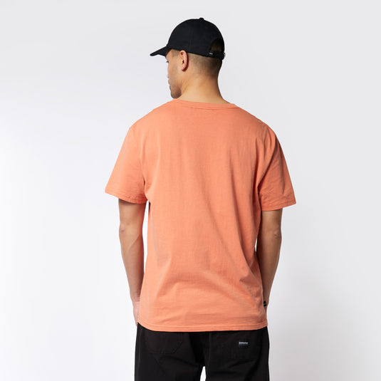 Back View
