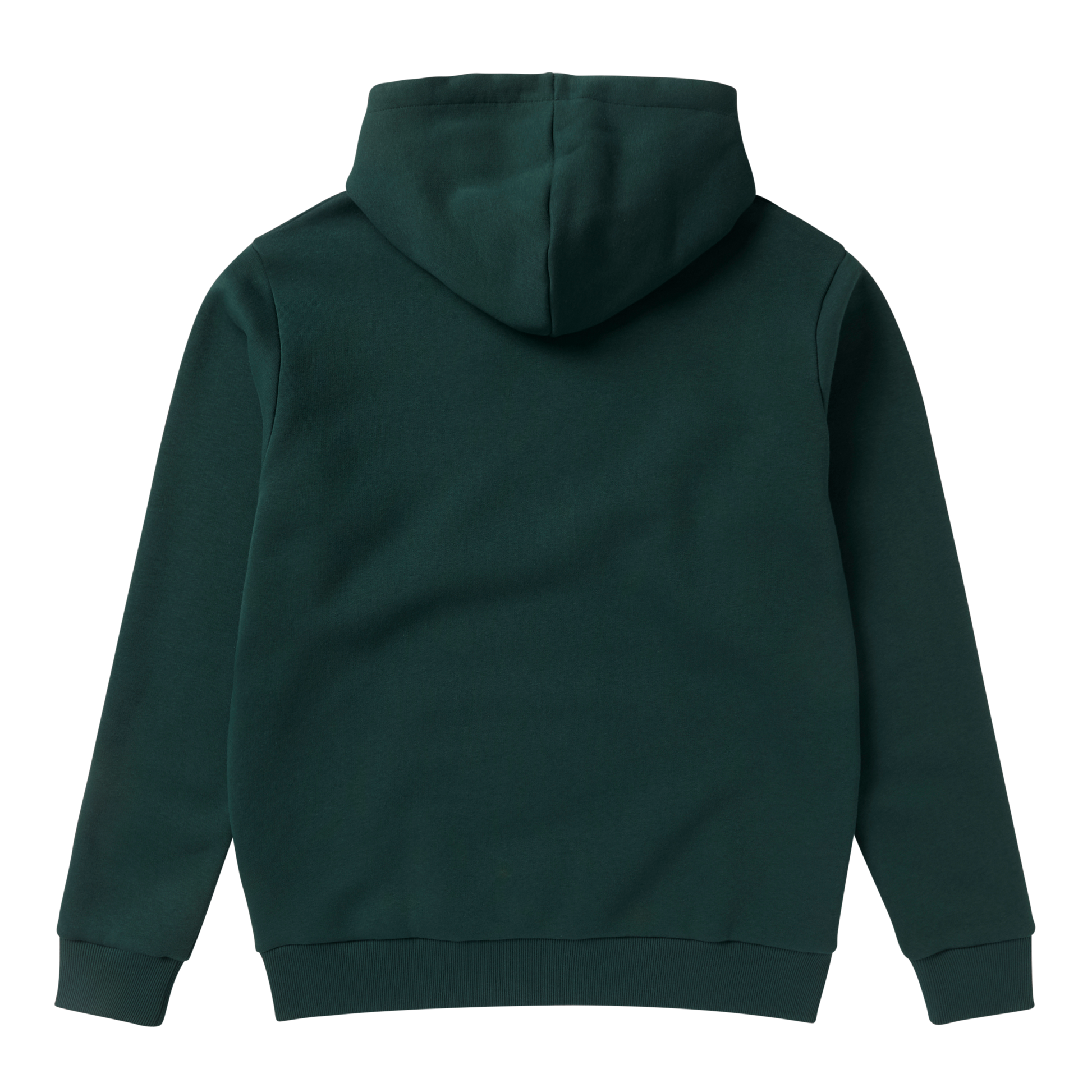 Icon Hood Sweat-100