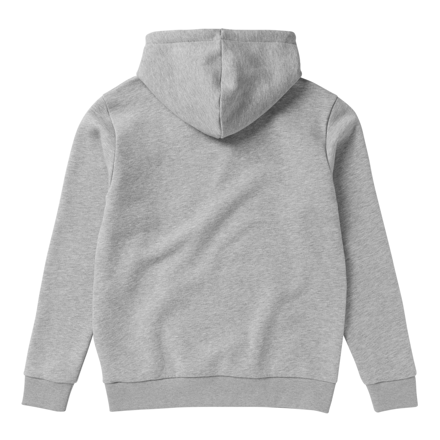 Icon Hood Sweat-110